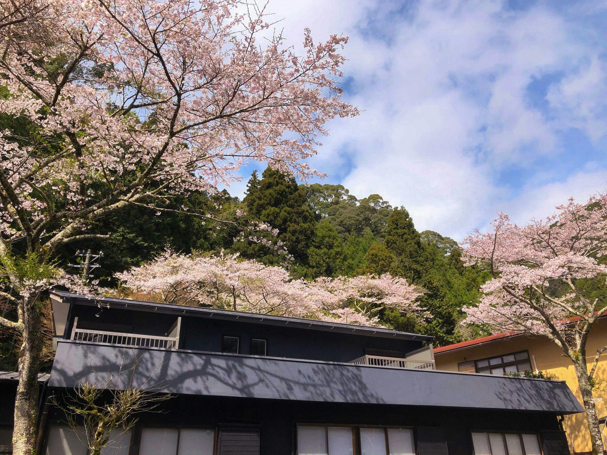 Yuyama Onsen Yuyamaen