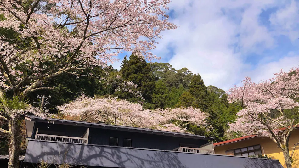 Yuyama Onsen Yuyamaen
