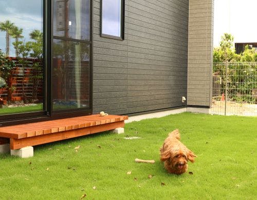 【コンテナG6ペット可】 柔らかい天然芝