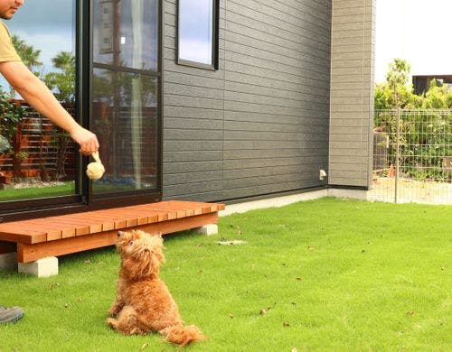 【コンテナG6ペット可】 専用ドックラン