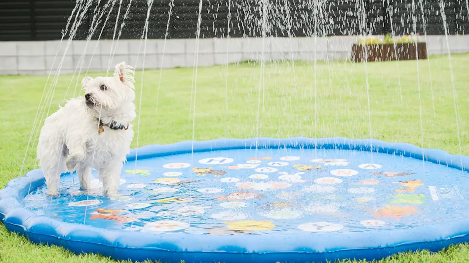 Marunomori Glamping with Dog
