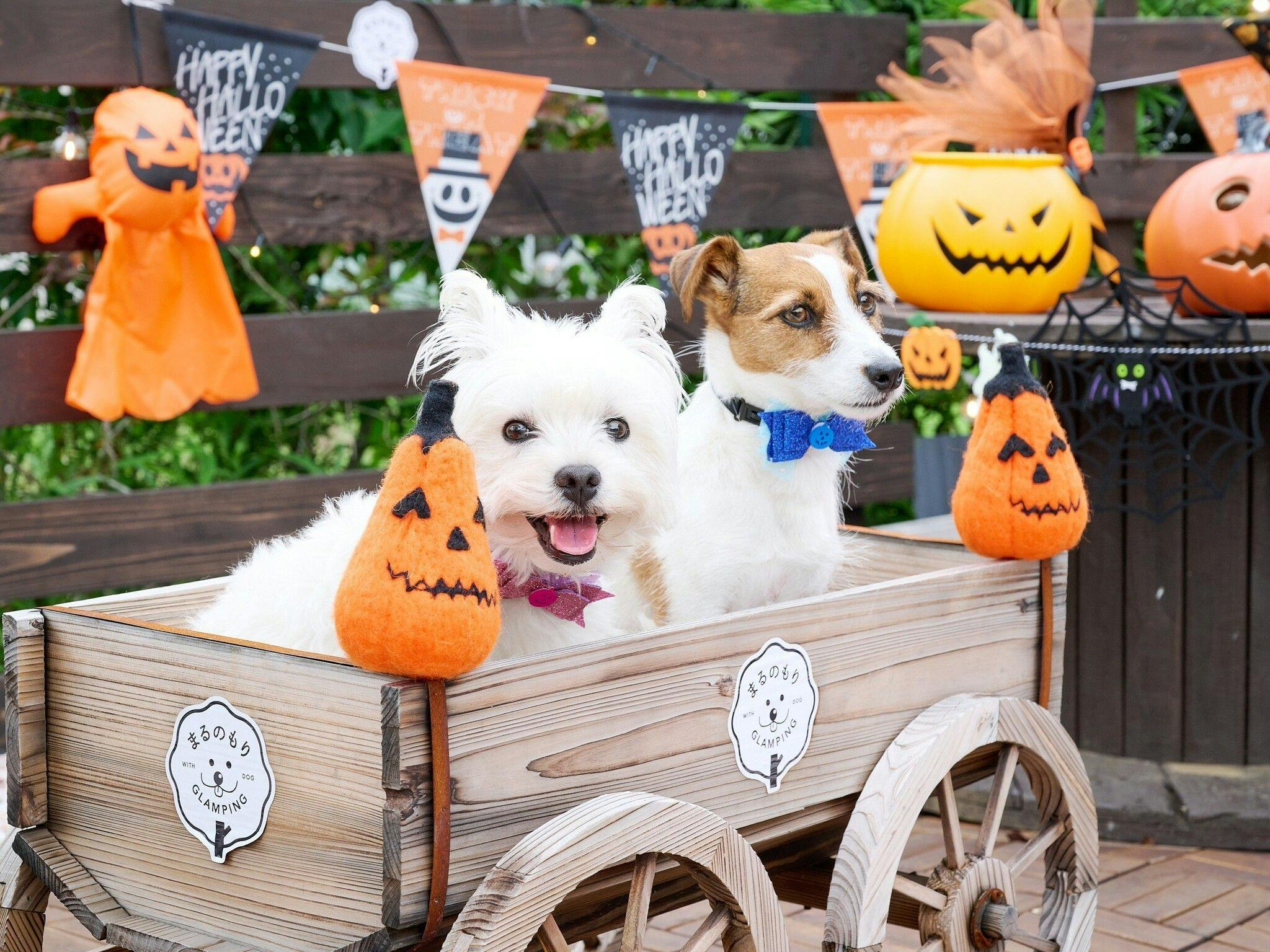 ตัวอย่างจุดถ่ายภาพตามฤดูกาล