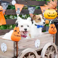 ตัวอย่างจุดถ่ายภาพตามฤดูกาล