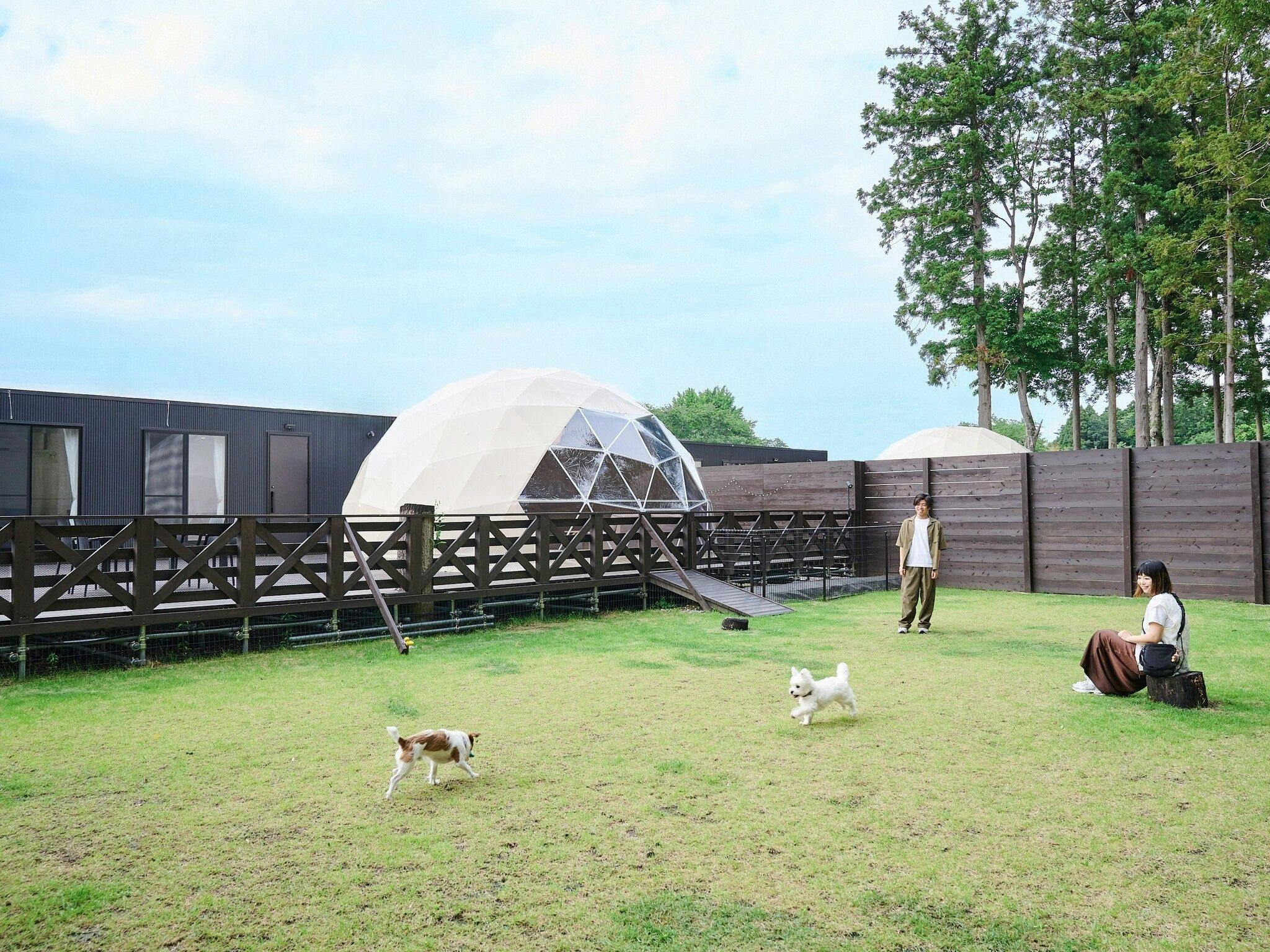 Marunomori Glamping with Dog