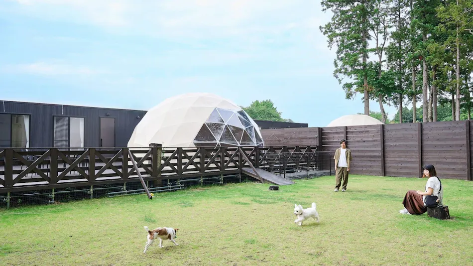 Marunomori Glamping with Dog