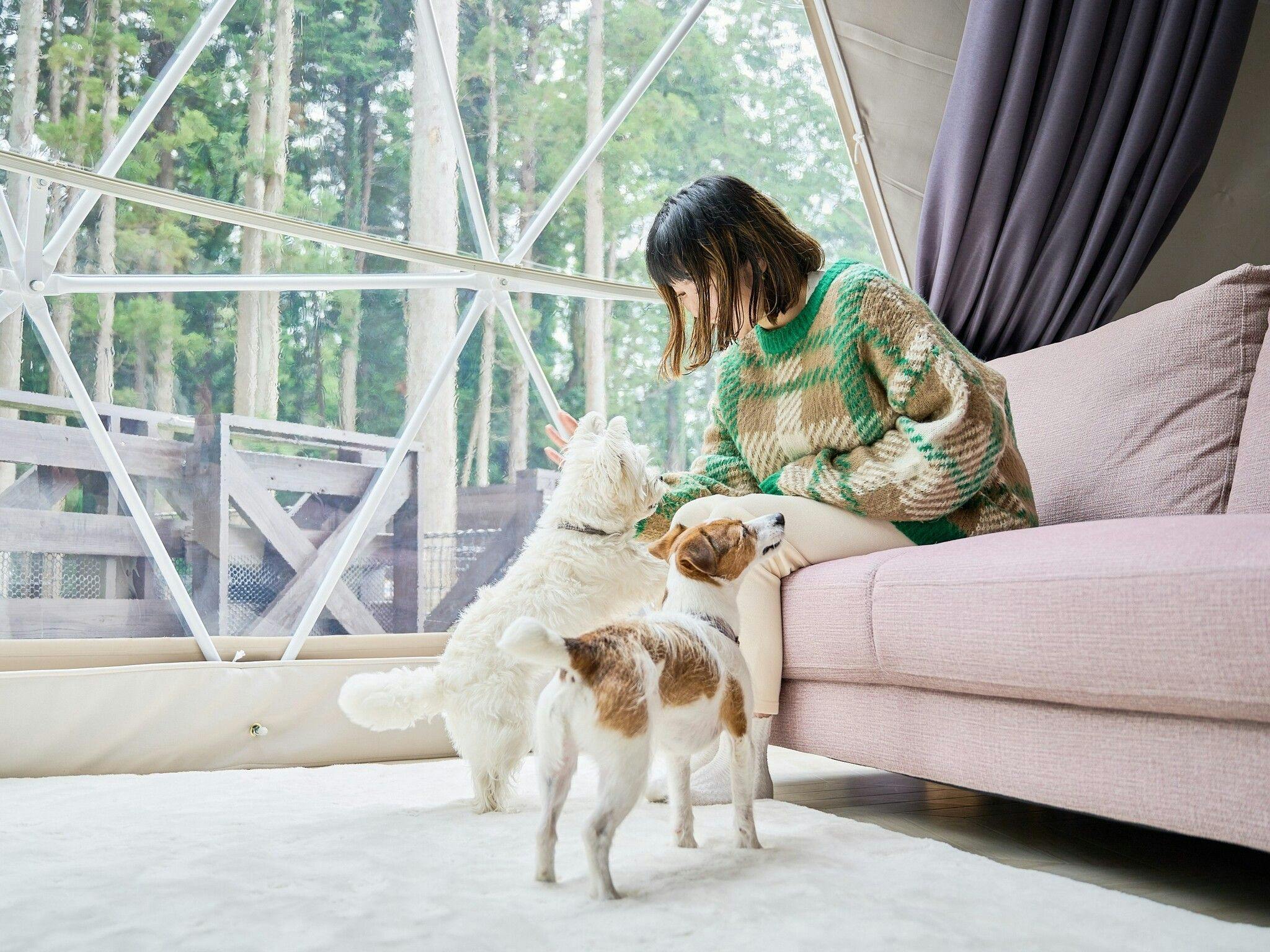 Marunomori Glamping with Dog