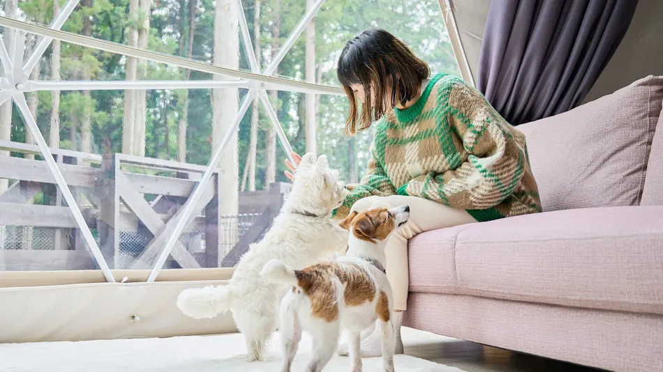 Marunomori Glamping with Dog