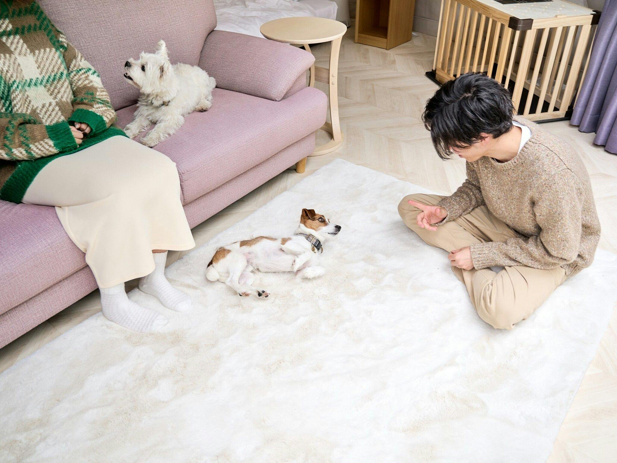 Marunomori Glamping with Dog