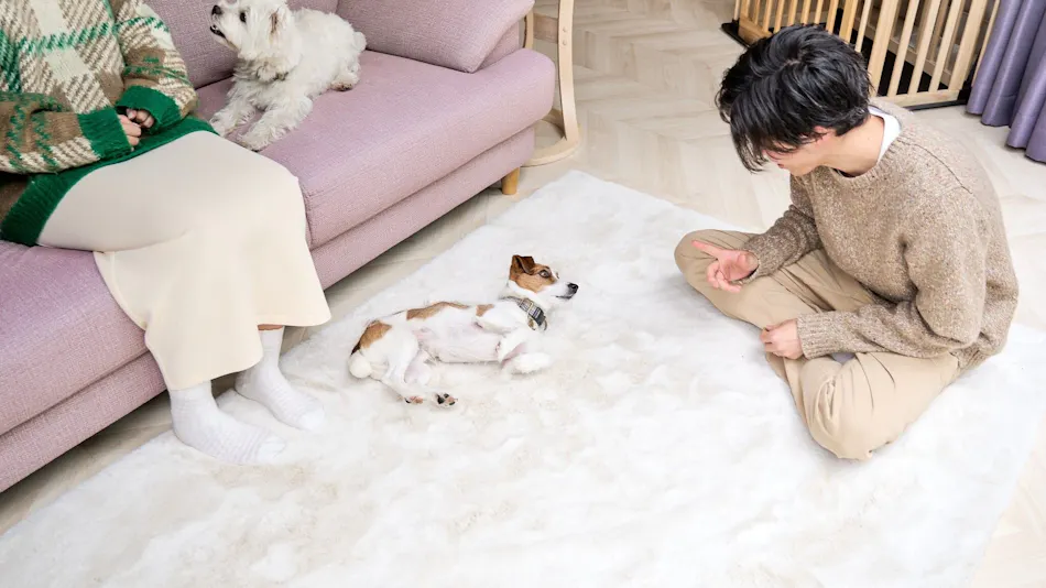 Marunomori Glamping with Dog