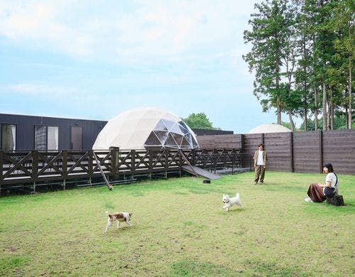 B　デッキ・専用ドッグラン・ドームテント