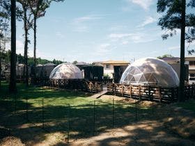 まるのもり　Glamping　with　Dog