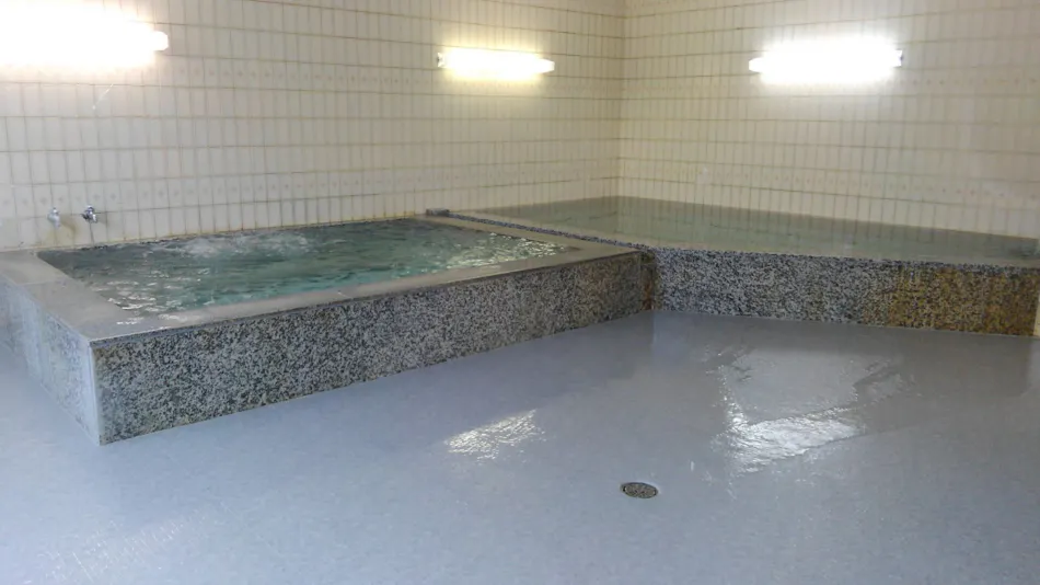 Isahaya Green Hotel