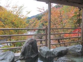 道志川温泉　紅椿の湯