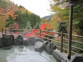 道志川温泉　紅椿の湯