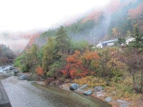 道志川温泉　紅椿の湯