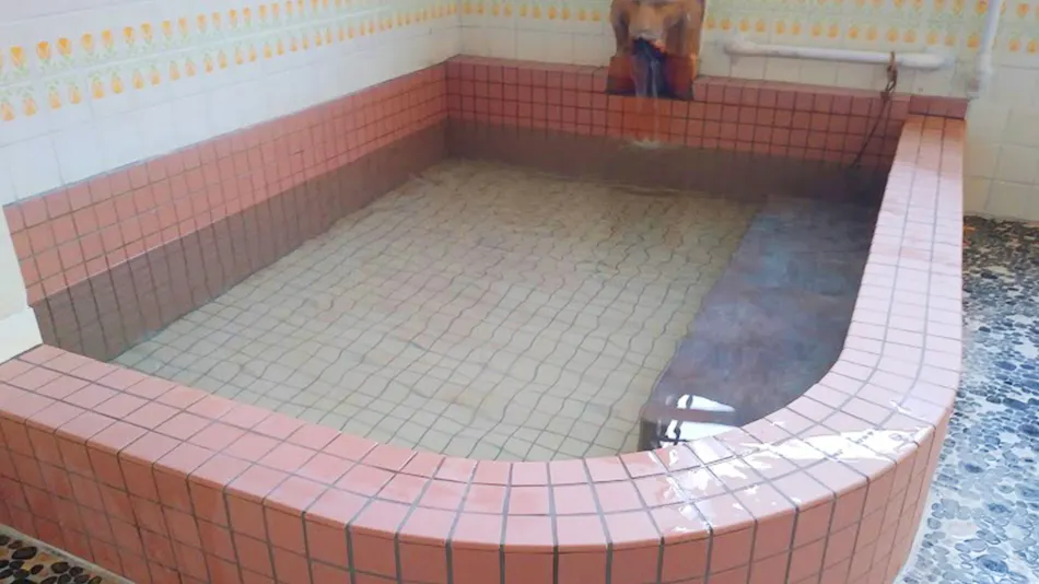 Shimoda Onsen Relaxing Inn Maruko
