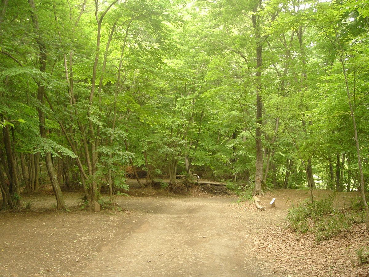 Santa Hills