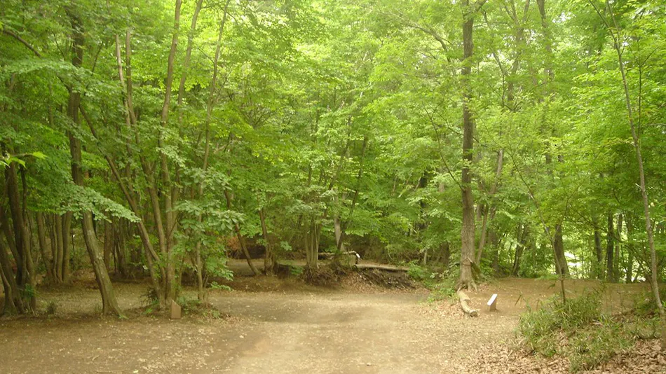 Santa Hills