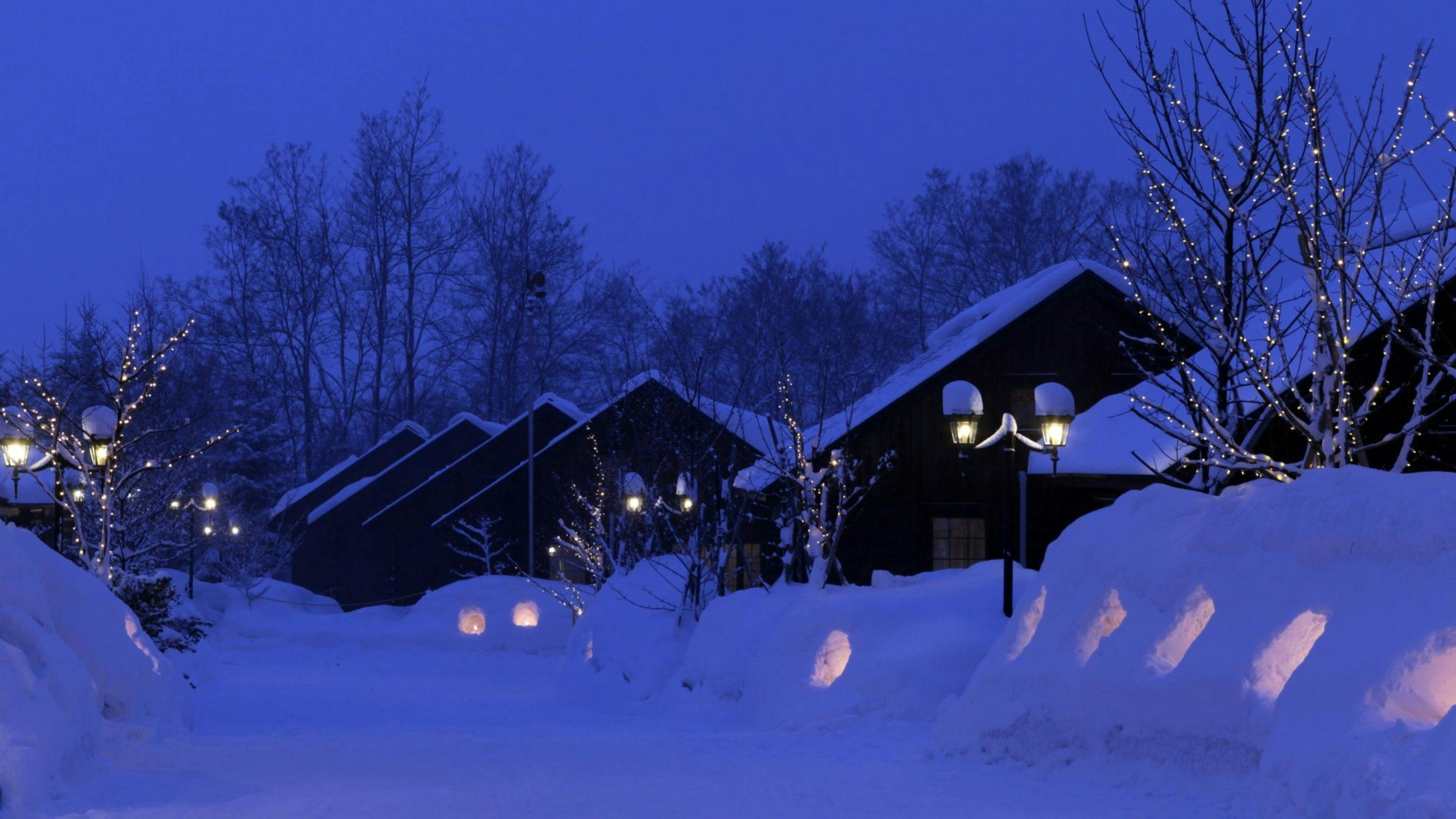 Canadian Village Montreal