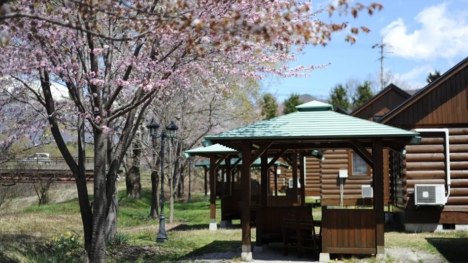 Canadian Village Montreal