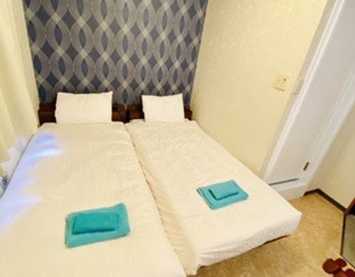 シングルツイン