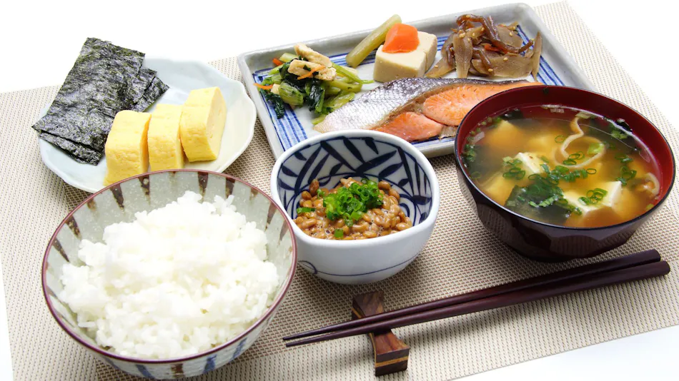 The Iriomote Island Hotel HOSHITATE