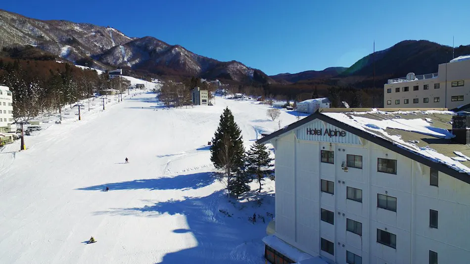 Hotel Alpine