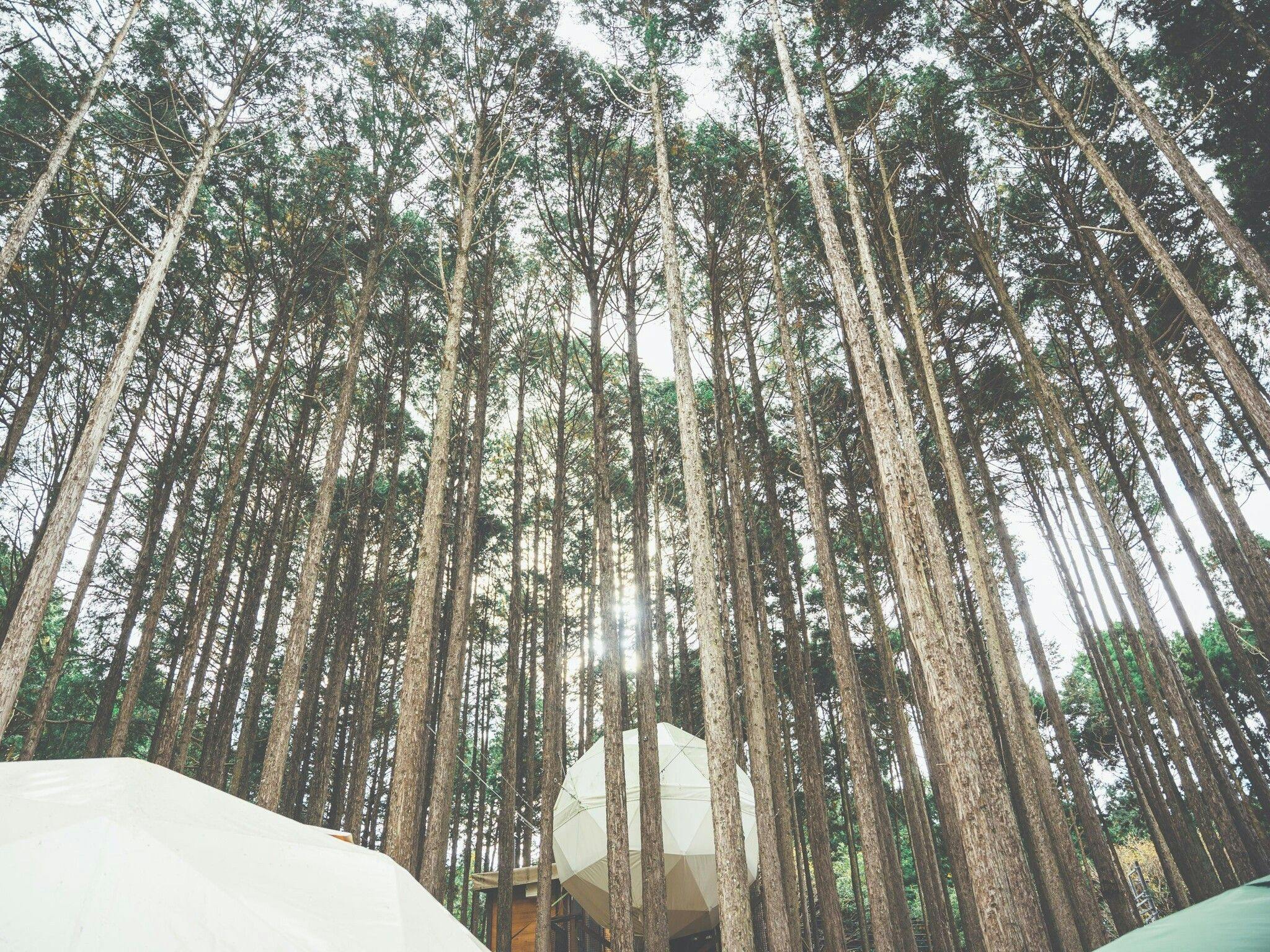 Izu no Kuni Glamping Terrace Emerald no Mori
