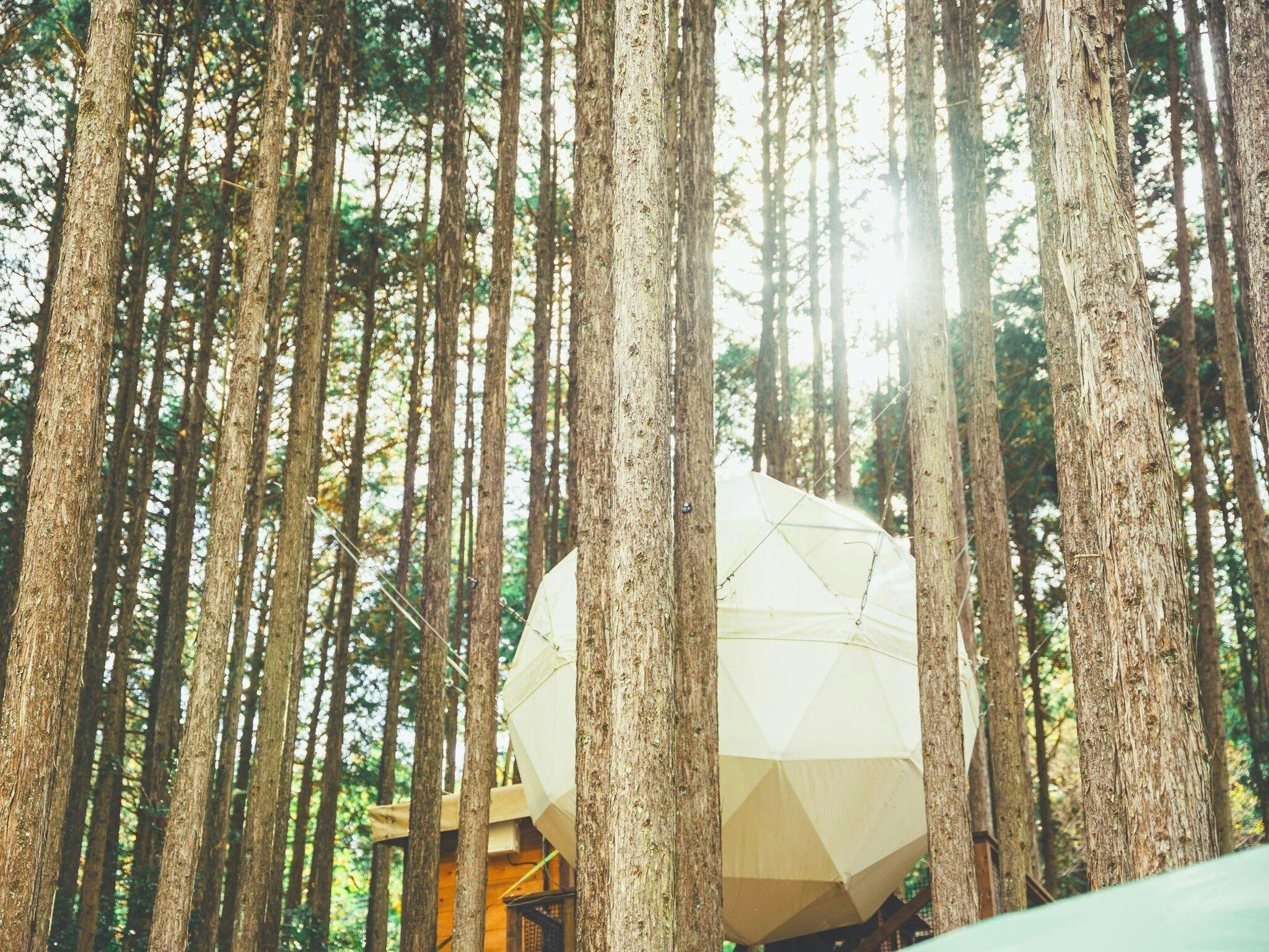 Izu no Kuni Glamping Terrace Emerald no Mori