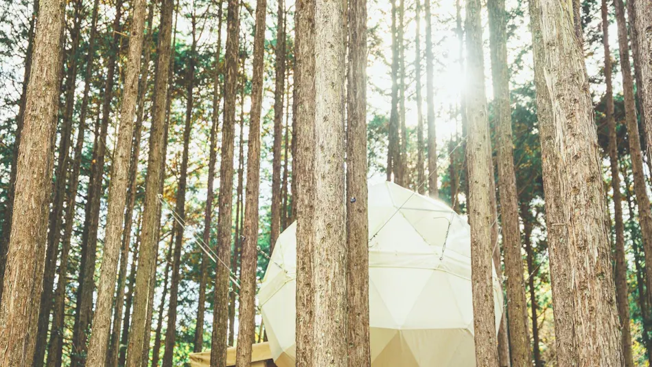 Izu no Kuni Glamping Terrace Emerald no Mori