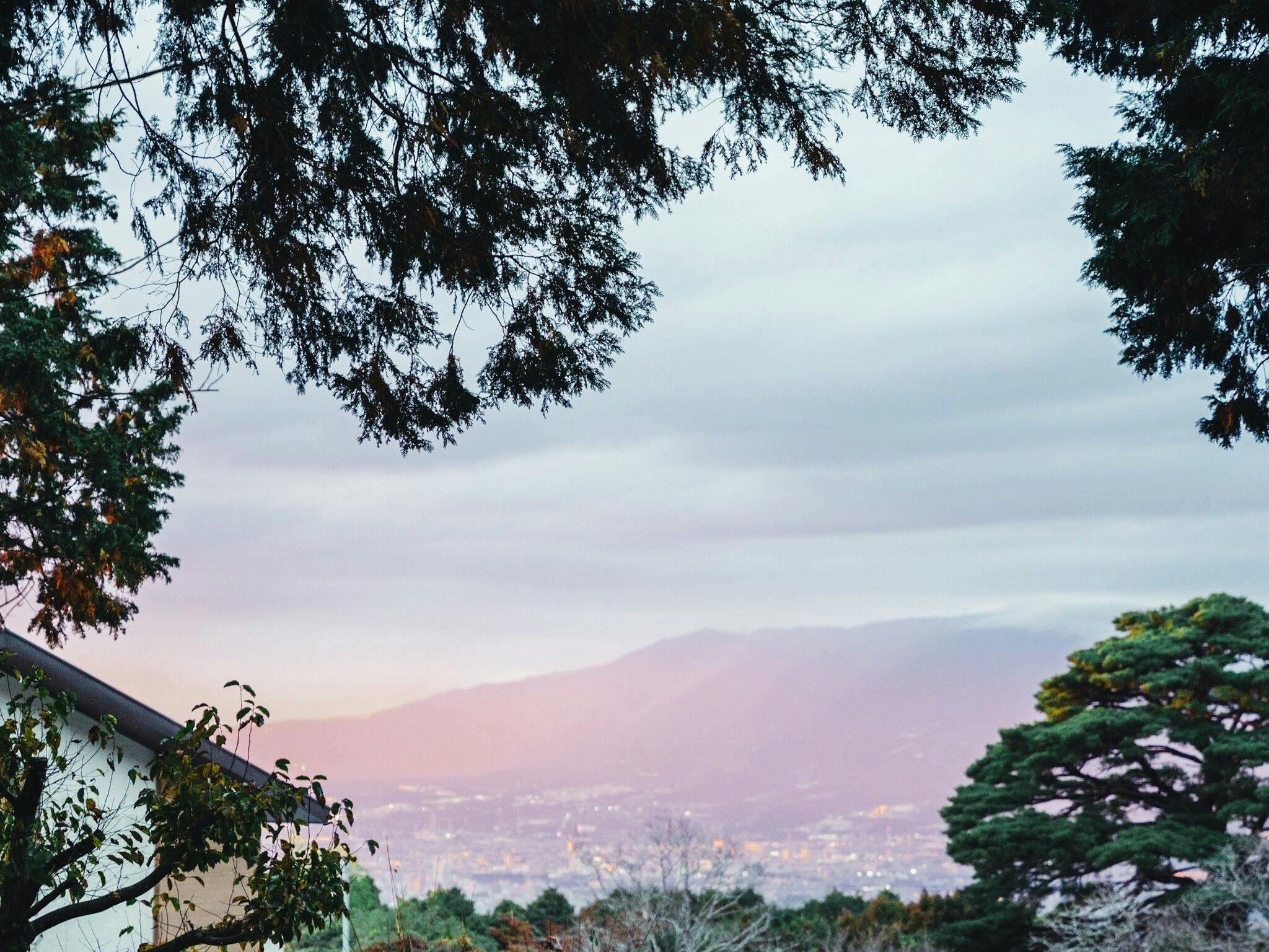 Izu no Kuni Glamping Terrace Emerald no Mori