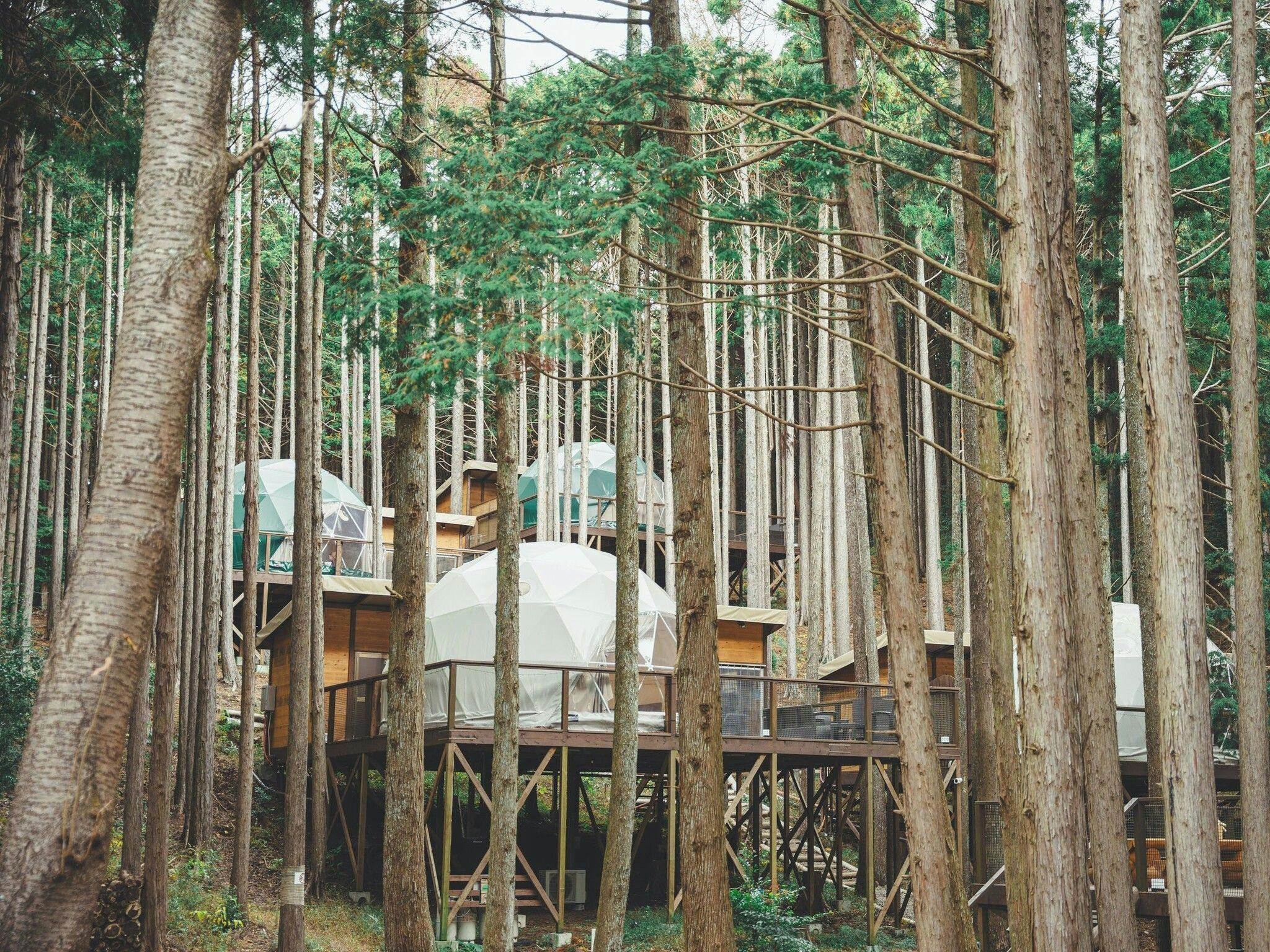 Izu no Kuni Glamping Terrace Emerald no Mori