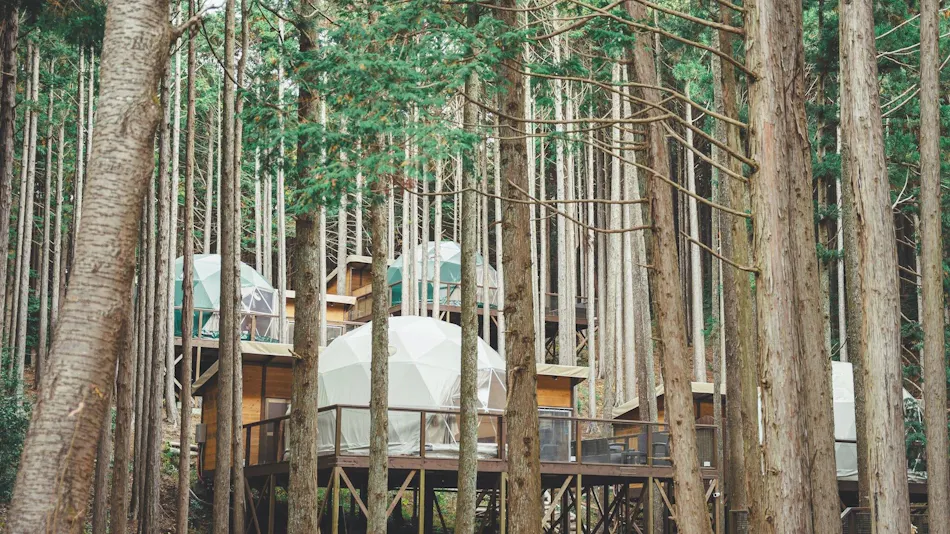 Izu no Kuni Glamping Terrace Emerald no Mori