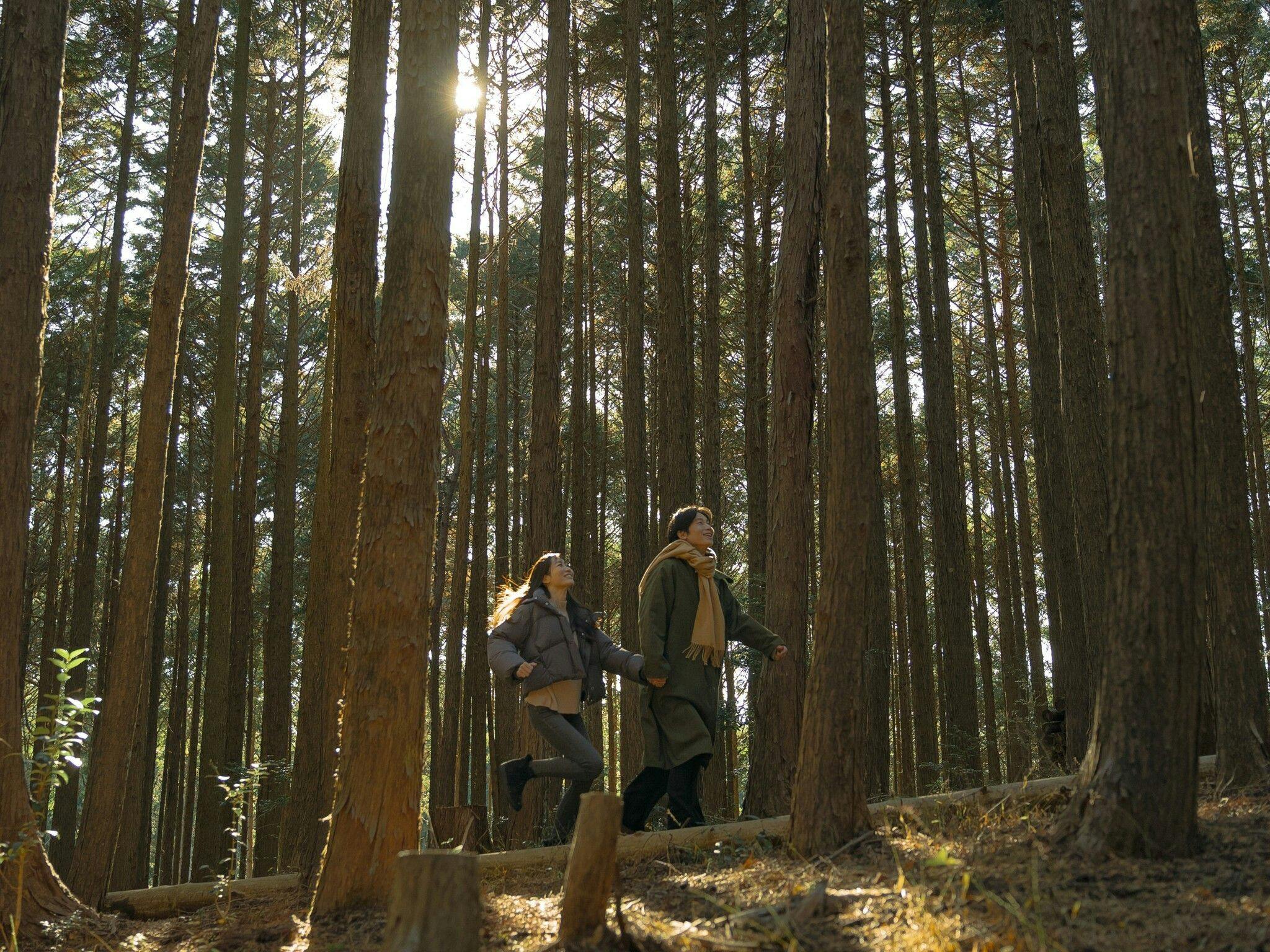 พื้นที่เต็มไปด้วยธรรมชาติ