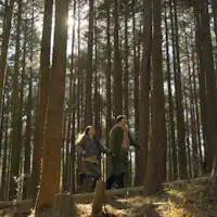 พื้นที่เต็มไปด้วยธรรมชาติ