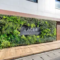 รูปลักษณ์ภายนอก