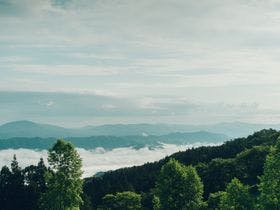 ＬＵＯＮＴＥ霧の高原Ｇｌａｍｐｉｎｇ