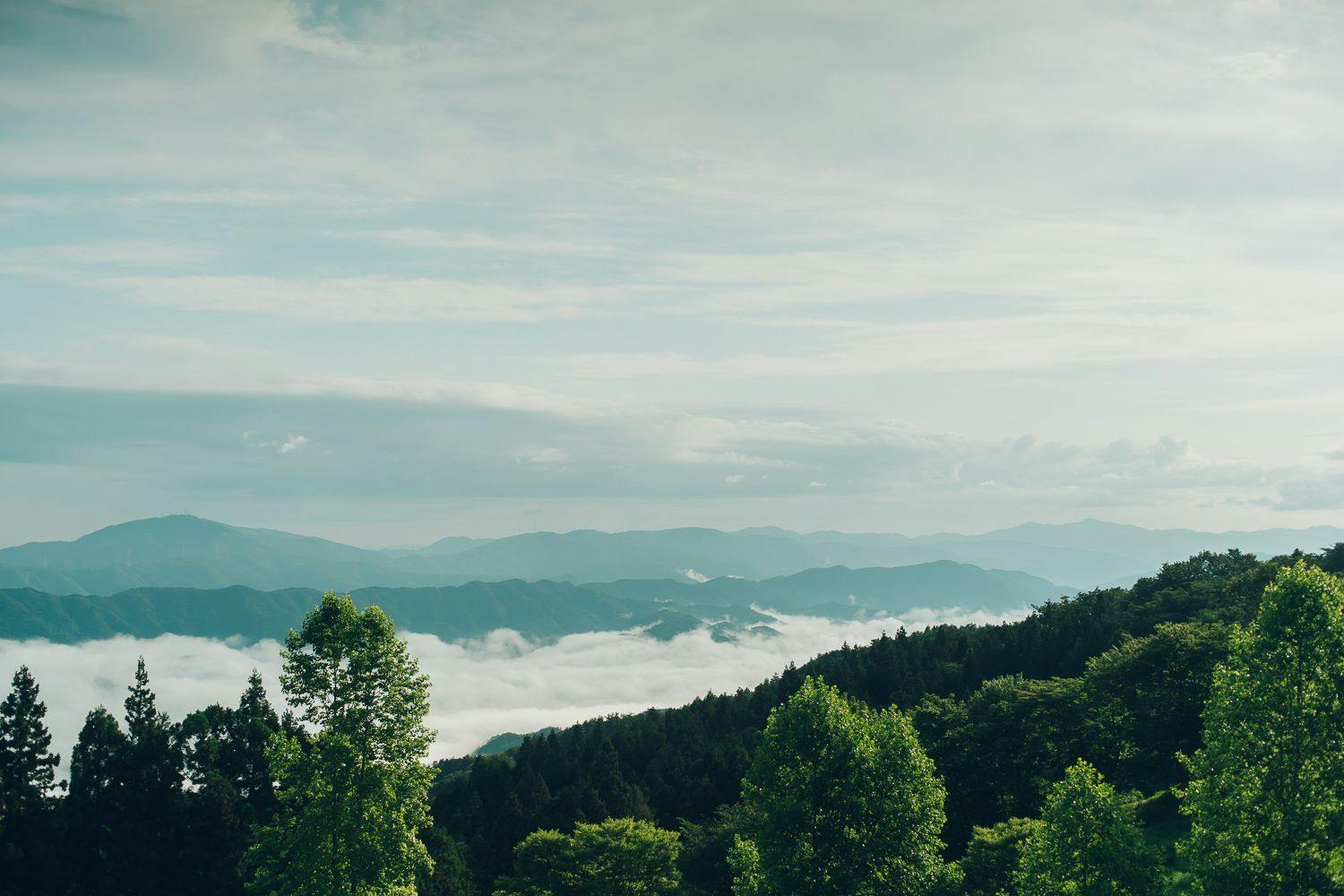LUONTE Misty Plateau Glamping