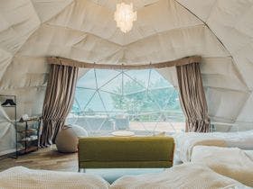 ＬＵＯＮＴＥ霧の高原Ｇｌａｍｐｉｎｇ