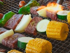 ＬＵＯＮＴＥ霧の高原Ｇｌａｍｐｉｎｇ