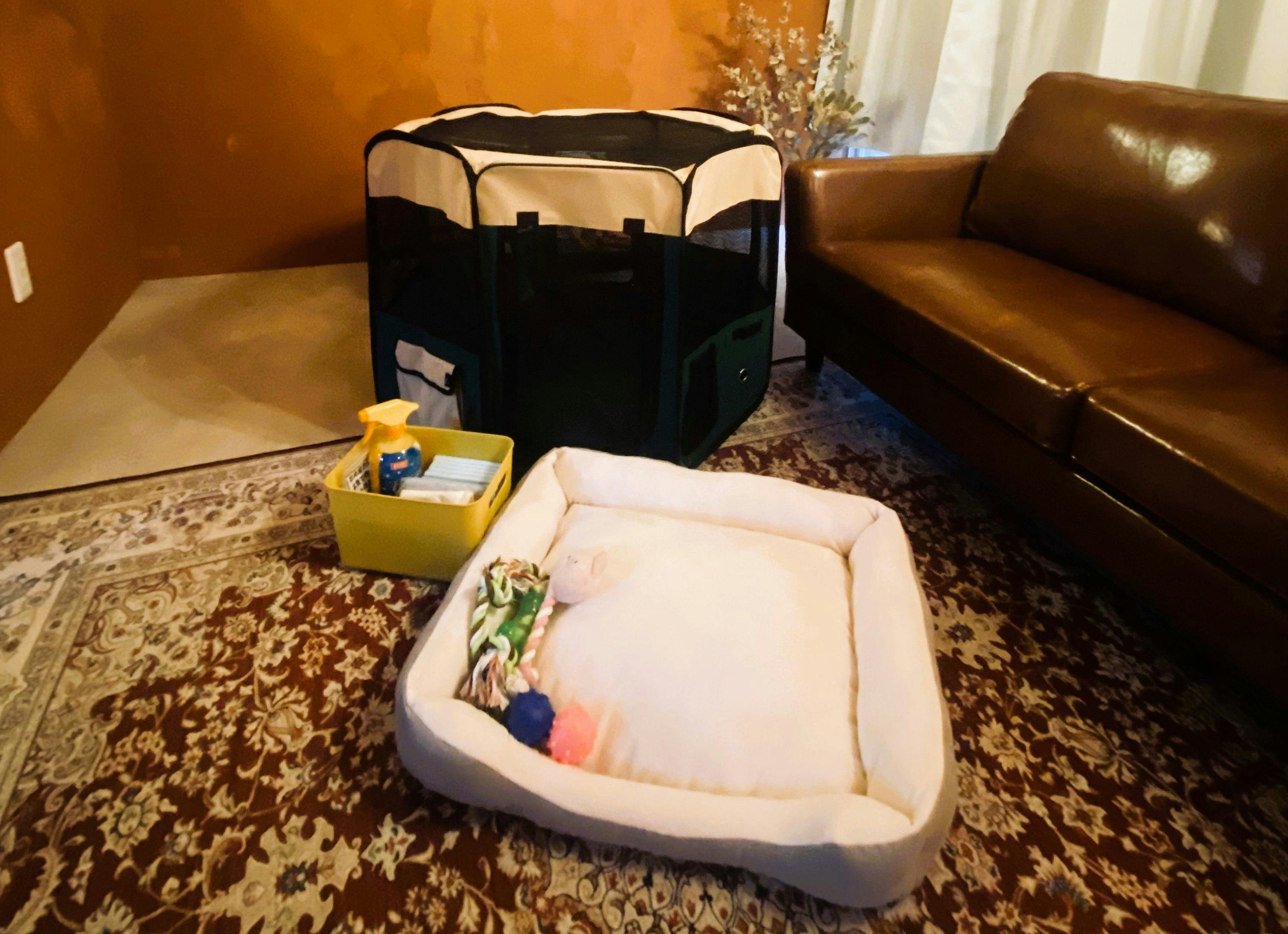 สิ่งอำนวยความสะดวกสำหรับน้องหมา