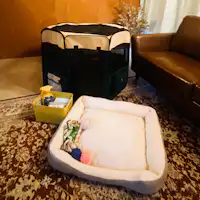 สิ่งอำนวยความสะดวกสำหรับน้องหมา