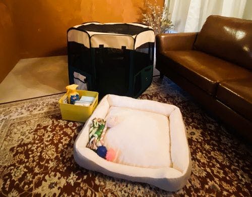 ワンちゃんアメニティだワン。