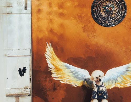 思い出の写真にいかがですか？