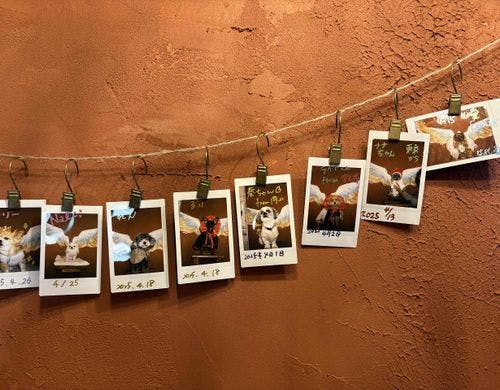 チェキで記念撮影