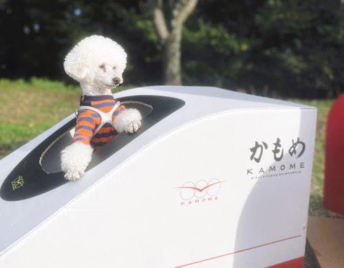 西九州新幹線「かもめ」