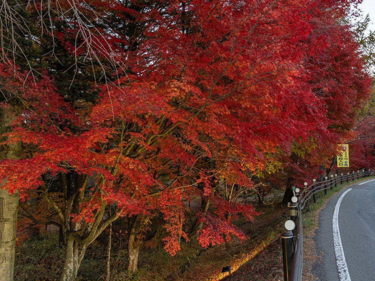 Kusatsu Onsen Oyado Hiranoya