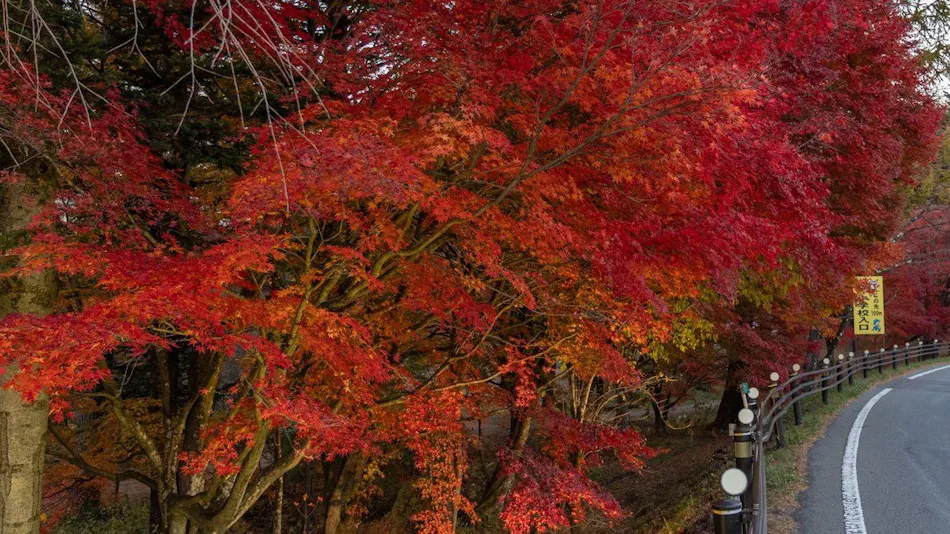 Kusatsu Onsen Oyado Hiranoya