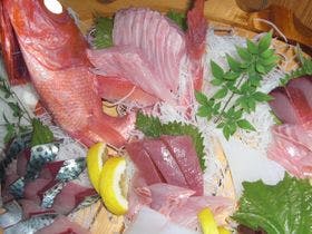 土佐清水　味彩の宿　 南国