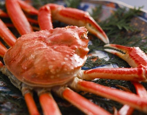 甘みたっぷりのボイルガニ／例